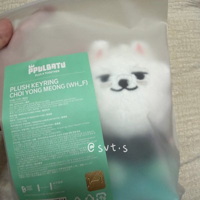 全新現貨 FINDING MOA 娃娃玩偶 崔勇猛 黃春 坐娃 