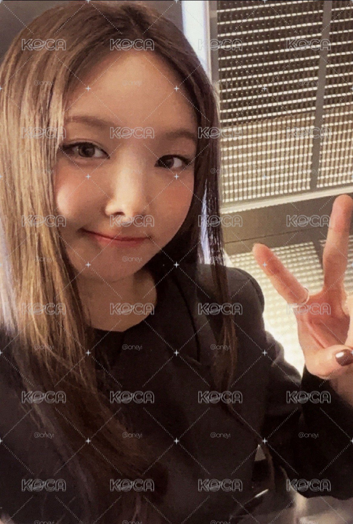 나연專卡