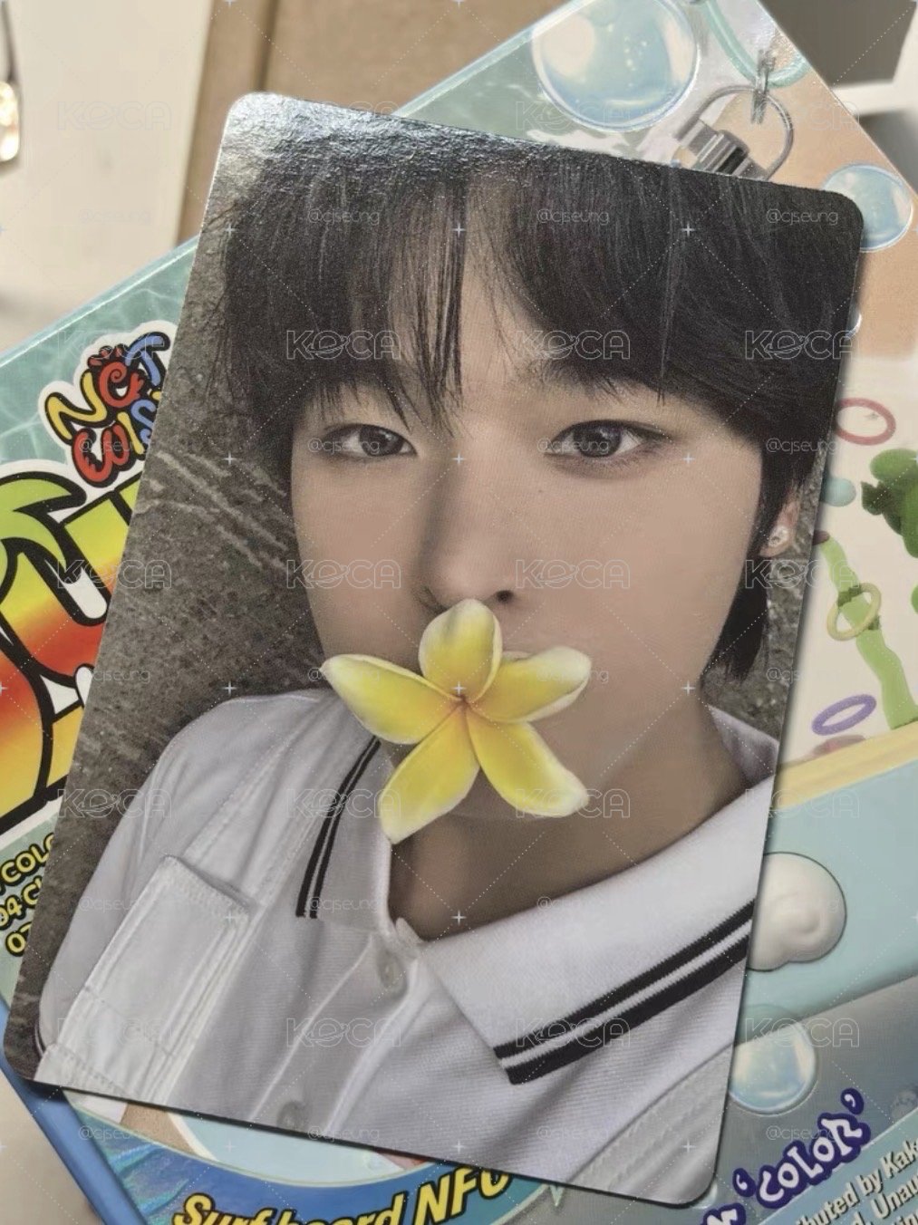 雞蛋花小陸