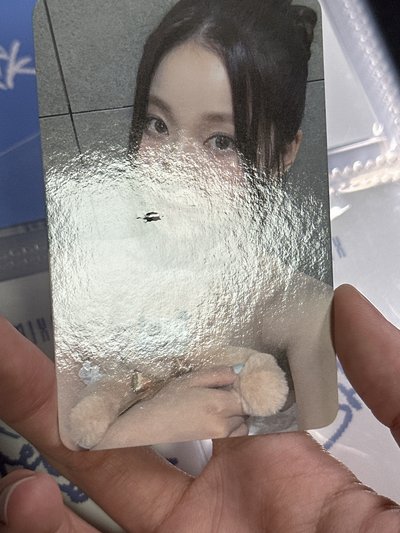 NMIXX k4幸運卡抱熊圭