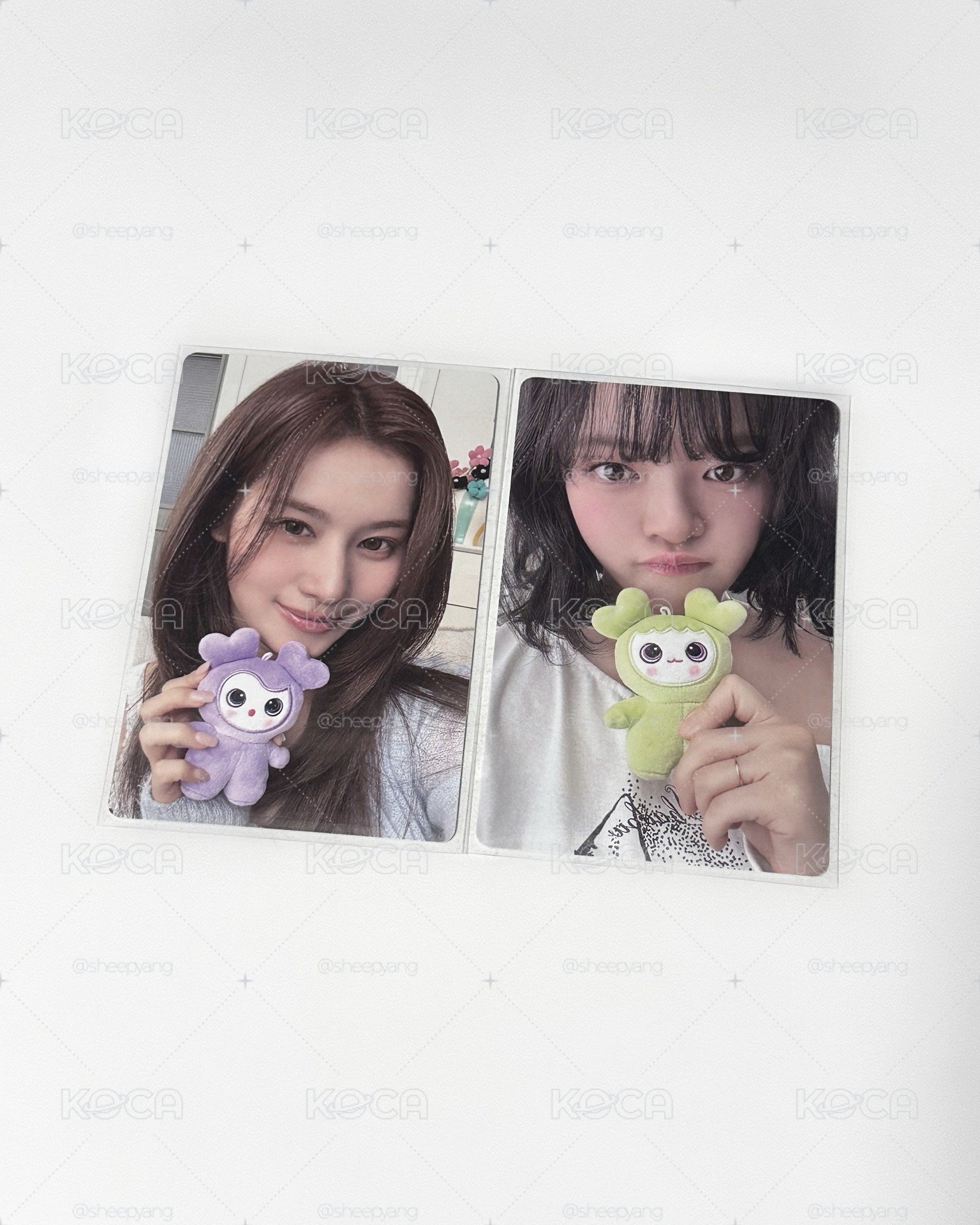 TWICE｜Sana 定延 五期會員 會員禮卡 
