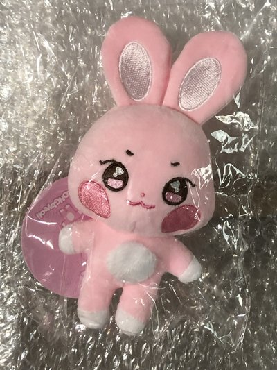 🌟原皮咚星🌟全新未拆