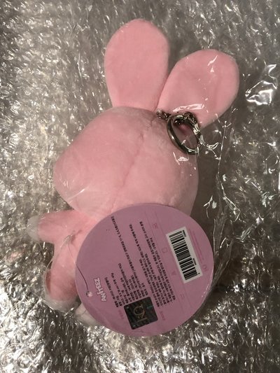 🌟原皮咚星🌟全新未拆