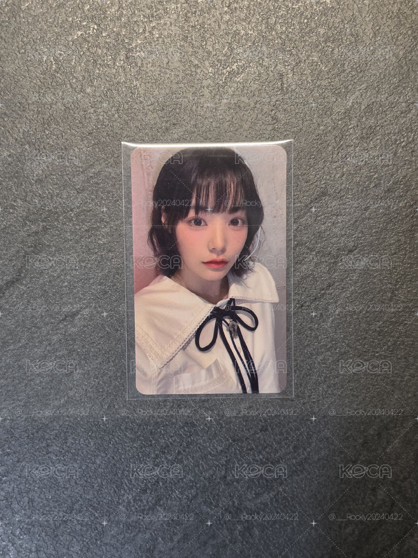 日特藍燕