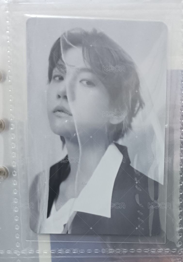 白紗