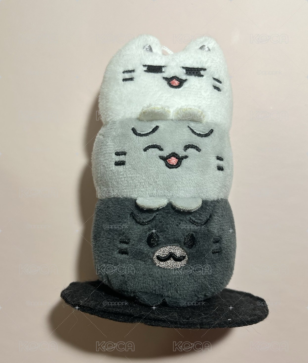 俊 坐娃