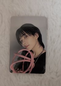 迷12 小卡🐰