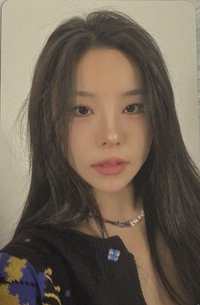 蝴蝶茶坊 滿額卡 周邊卡 