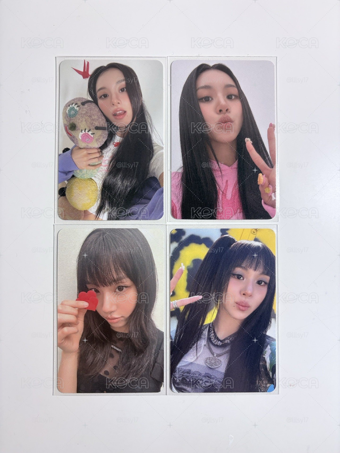 彩瑛中文卡背、專卡