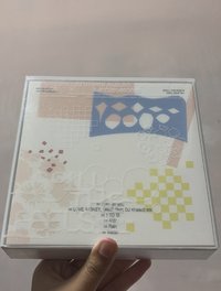 SVT mini 12白版空專