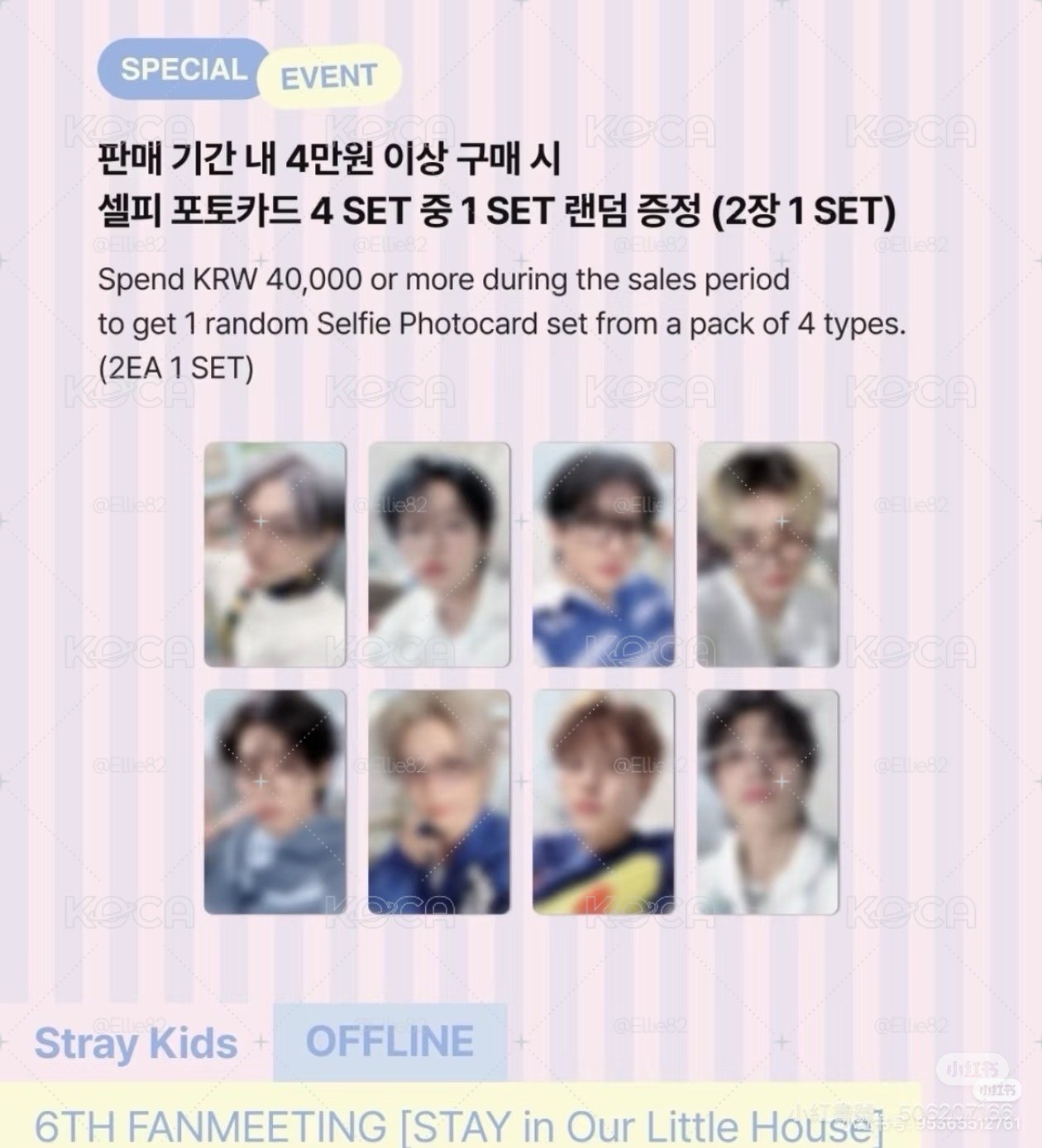 stray kids 6th 線下滿額卡送小動物紙花