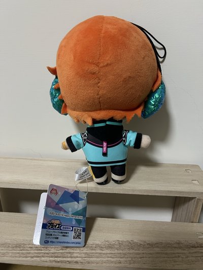 2wink 葵日向、葵裕太 新衣裝醜娃