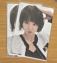 狗狗耳朵初瓏