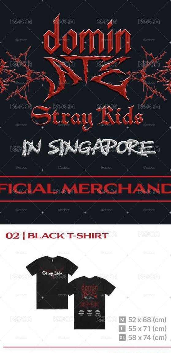 stray kids 場週短踢