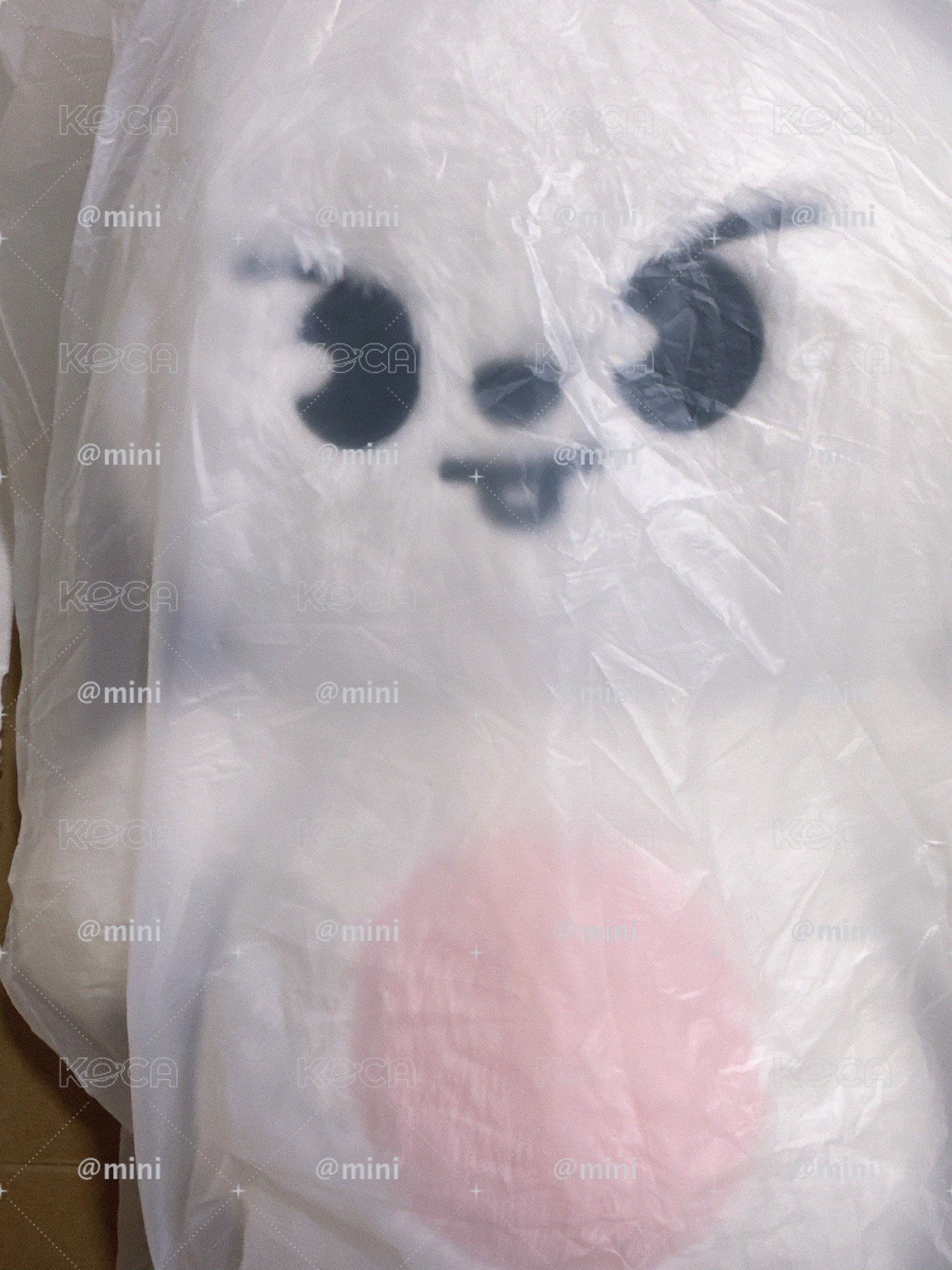 旻泰迪