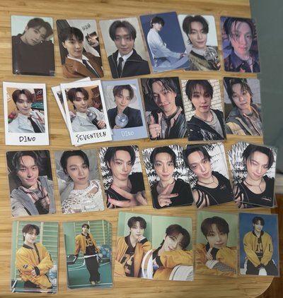 SEVENTEEN Dino 小卡們