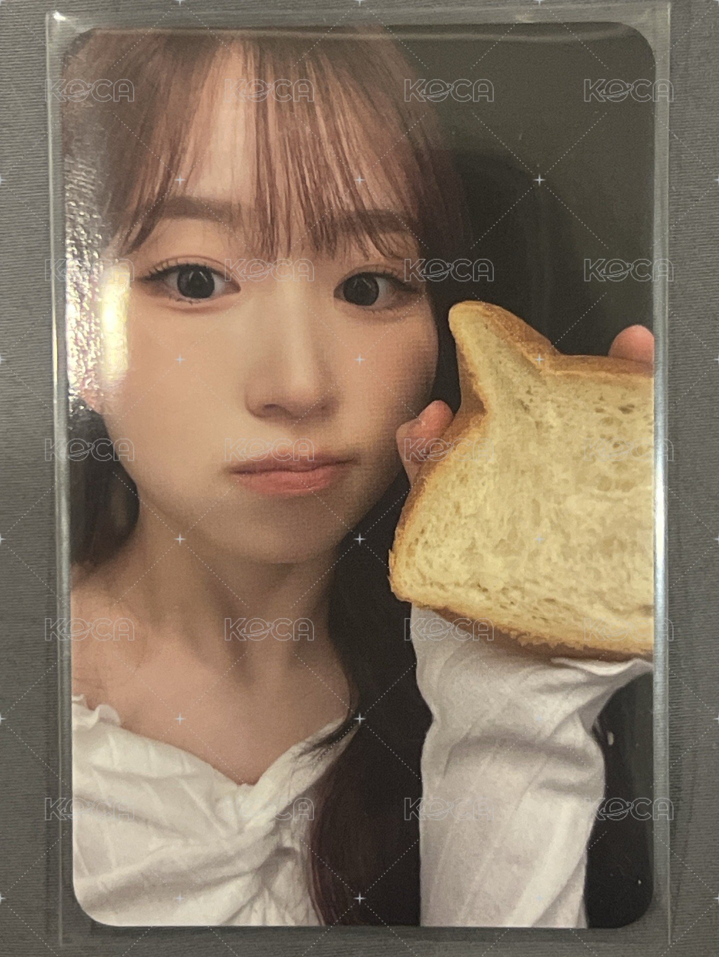 貓咪麵包