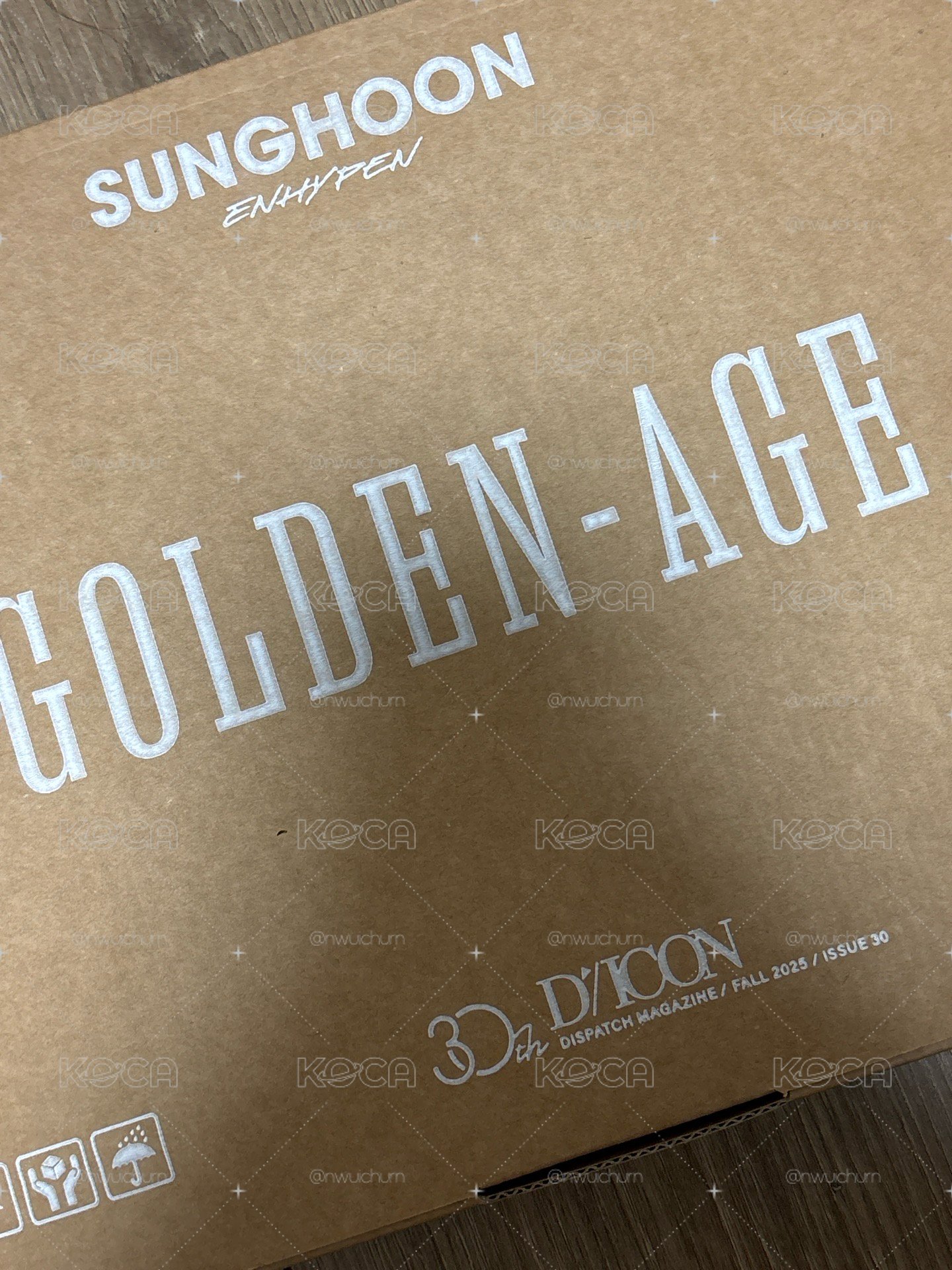 訓 D社雜全套 Golden-age ver. 無特典