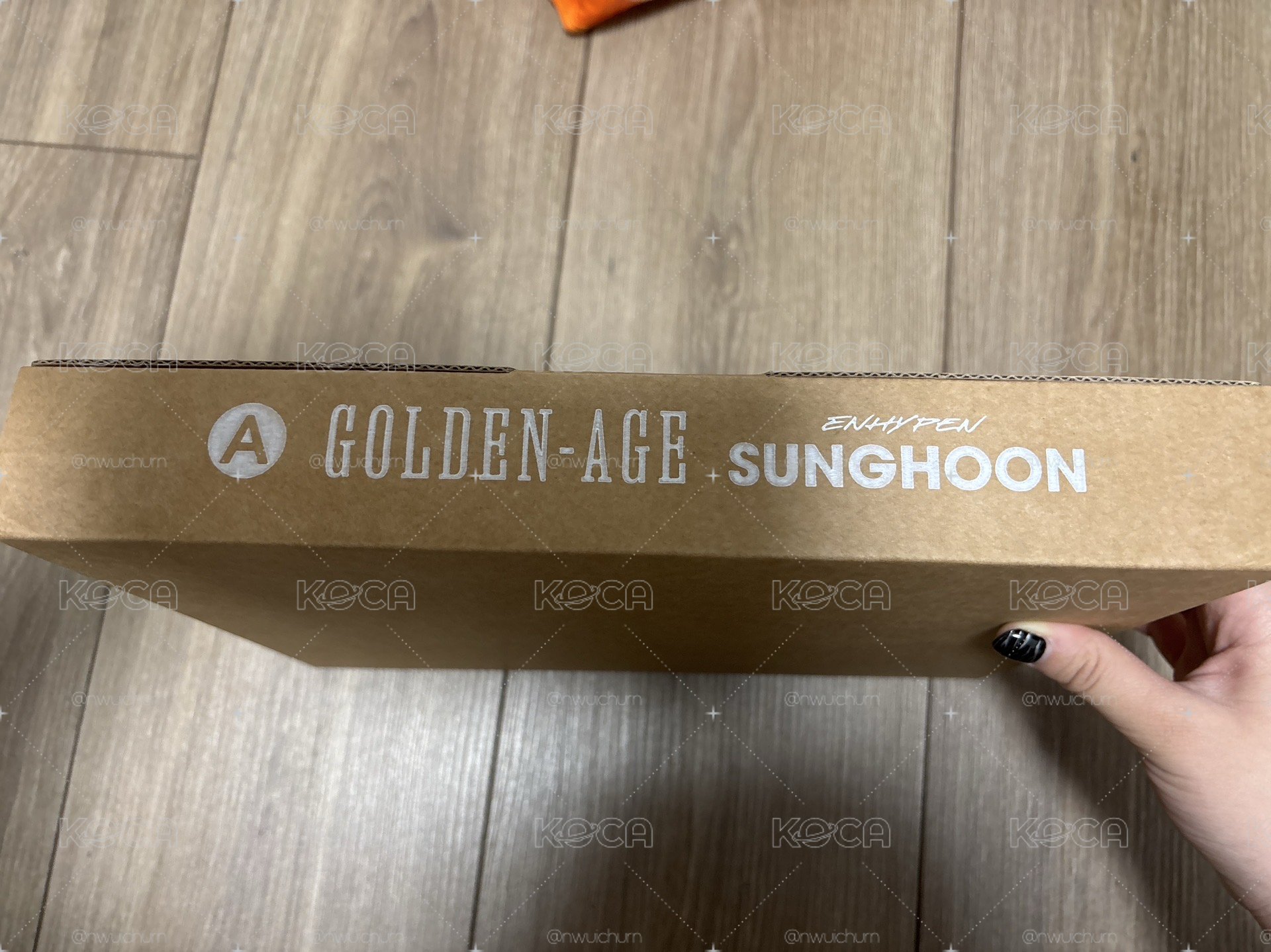 訓 D社雜全套 Golden-age ver. 無特典