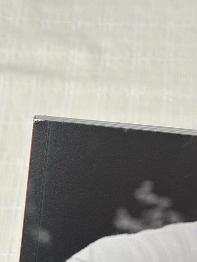🖤RIIZING後續專 椅國之書 空專