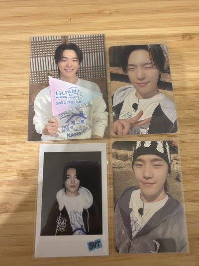 SEVENTEEN Dino 小卡們