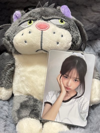 1-4星怜（得標提供四星怜紫光防偽標）