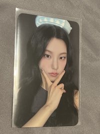 志