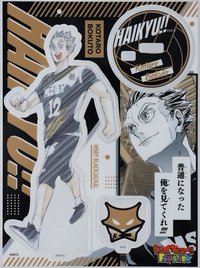 EX.- MSBY黑色狐狼