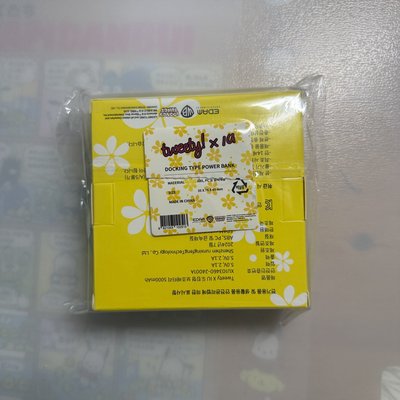 演唱會 行動電源