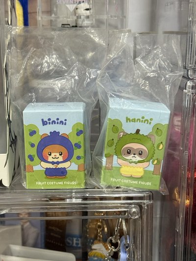 ZEROBASEONE zeroni 水果 模型 彬昊