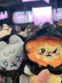 miniseo