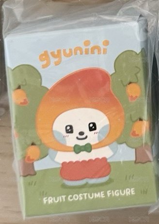 奎