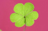 𐙚⋆.˚めきちゃん🍀