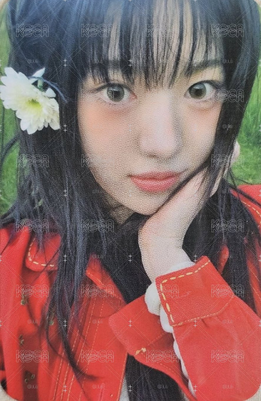 紅衣sui