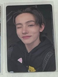 賤貓