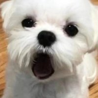 cwanzero