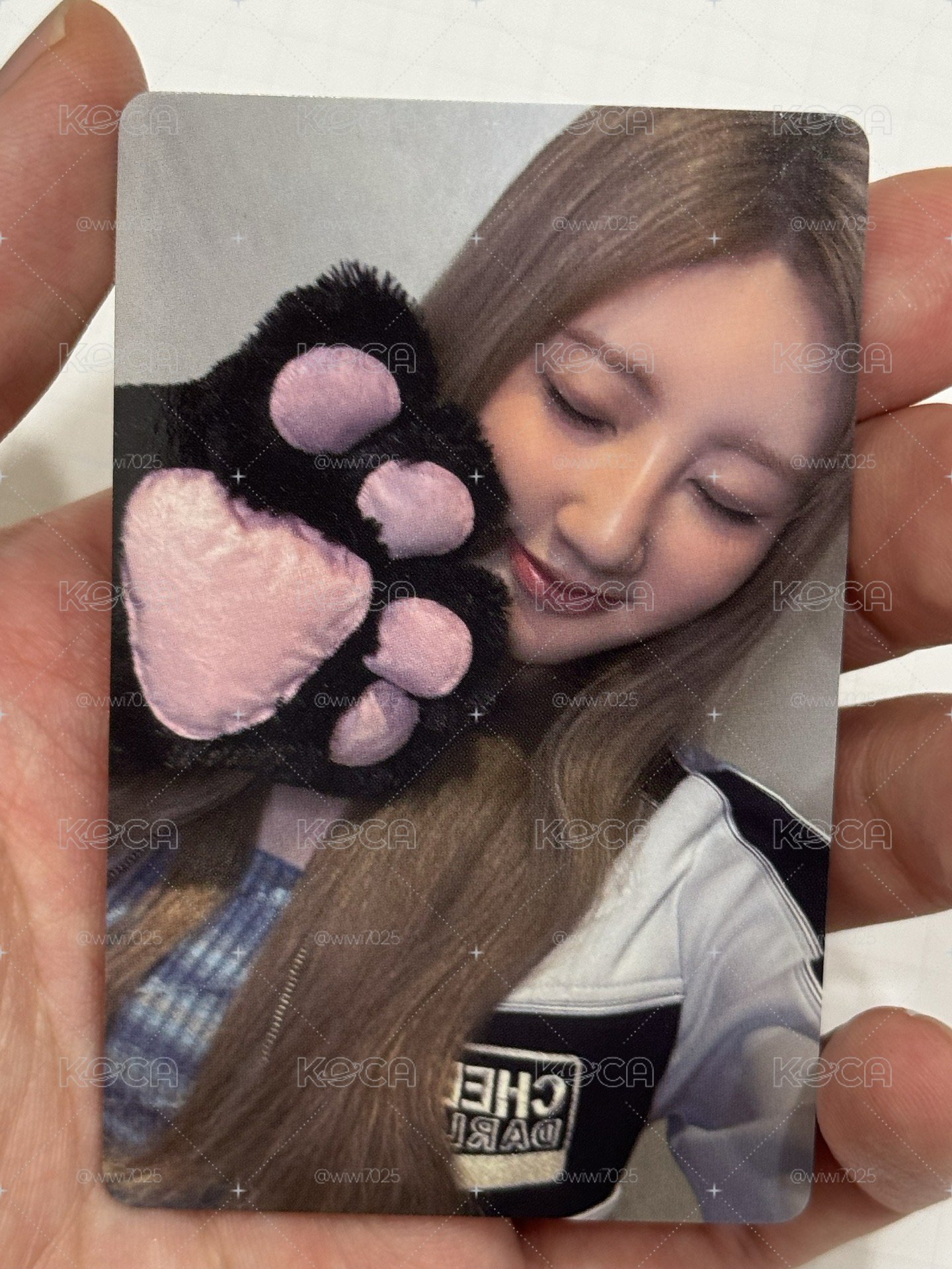 貓爪藍