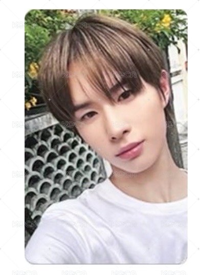 sw 簽售