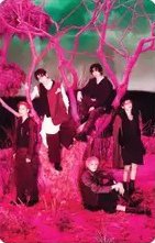 迷八 yes24 pb版 特典卡 