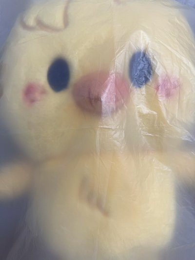 全新現貨 6th FM 菲 後背包