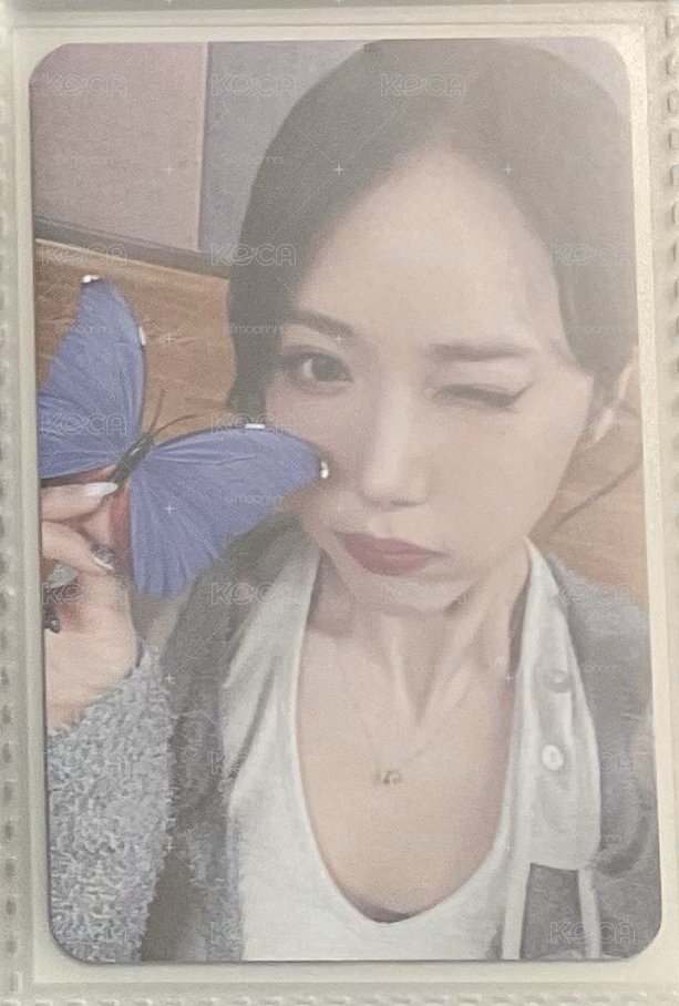 正一 ms 線上 蝴蝶 簽售卡 