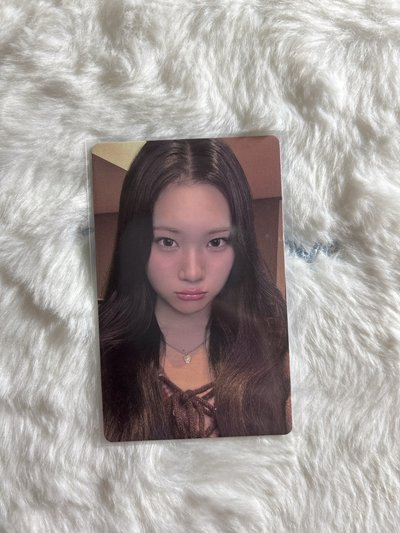 主恩 Focus wvs 簽售卡 