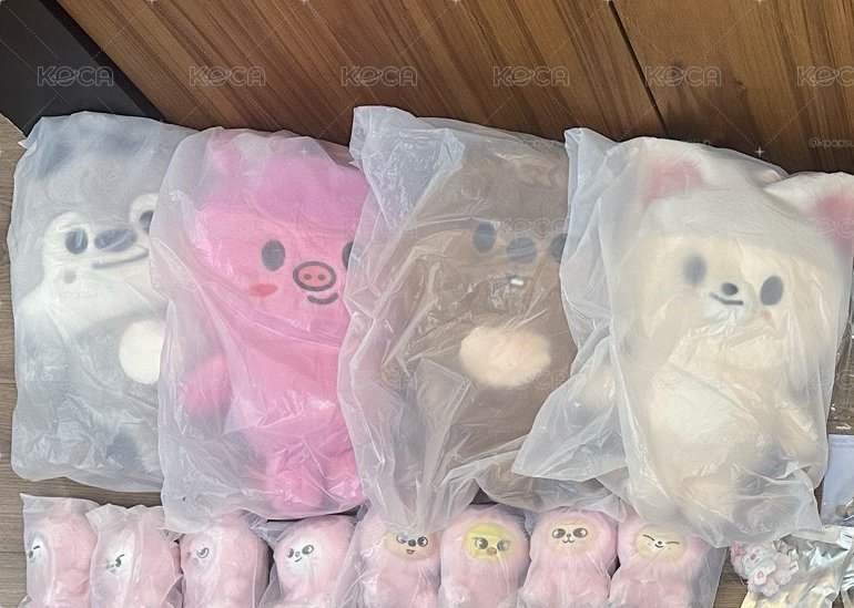 SKZ 6期飯咪 毛絨後背 彬寅