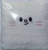 6th FM 毛巾 入場禮