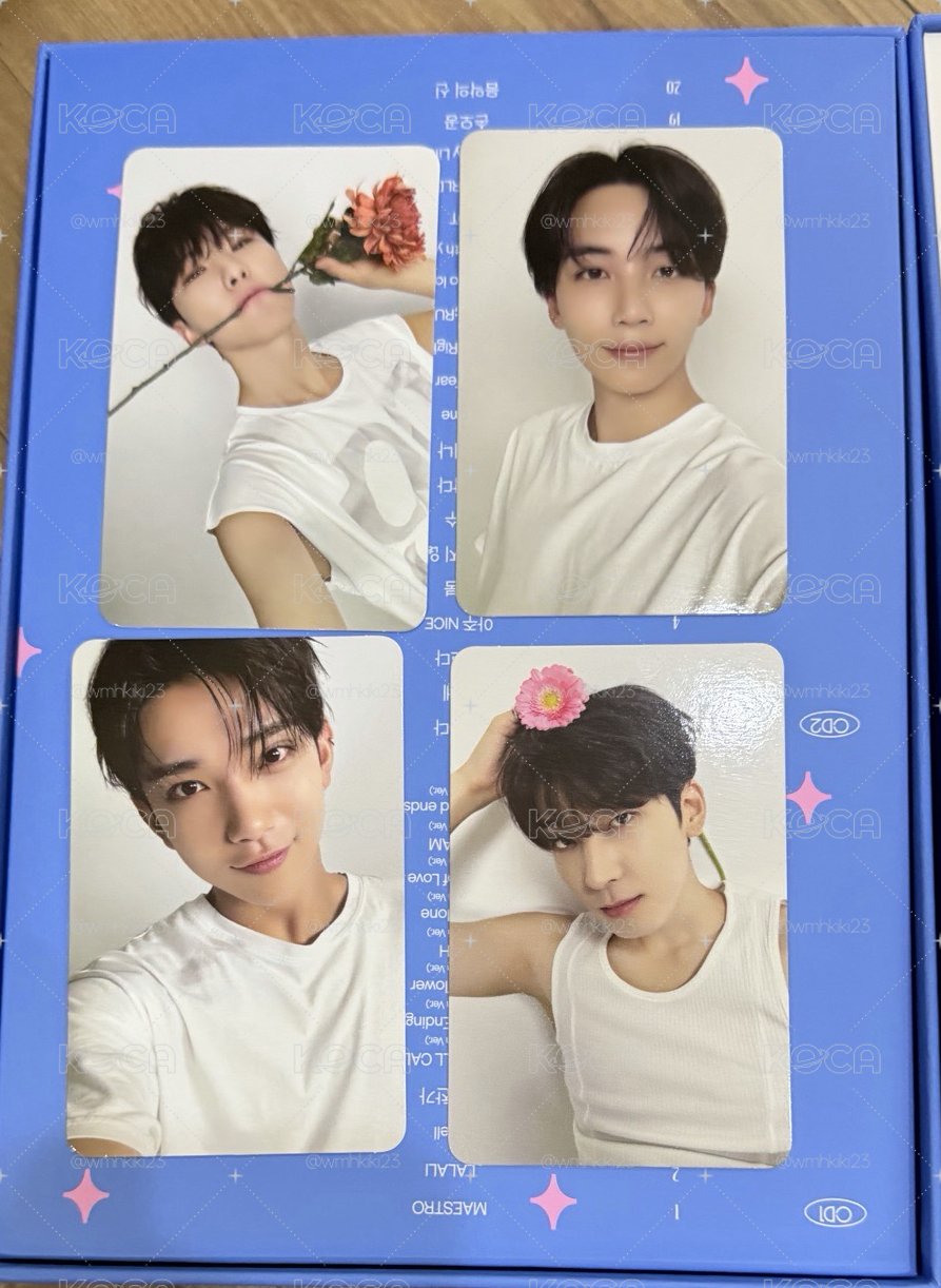 🤍seventeen 精選專 小卡