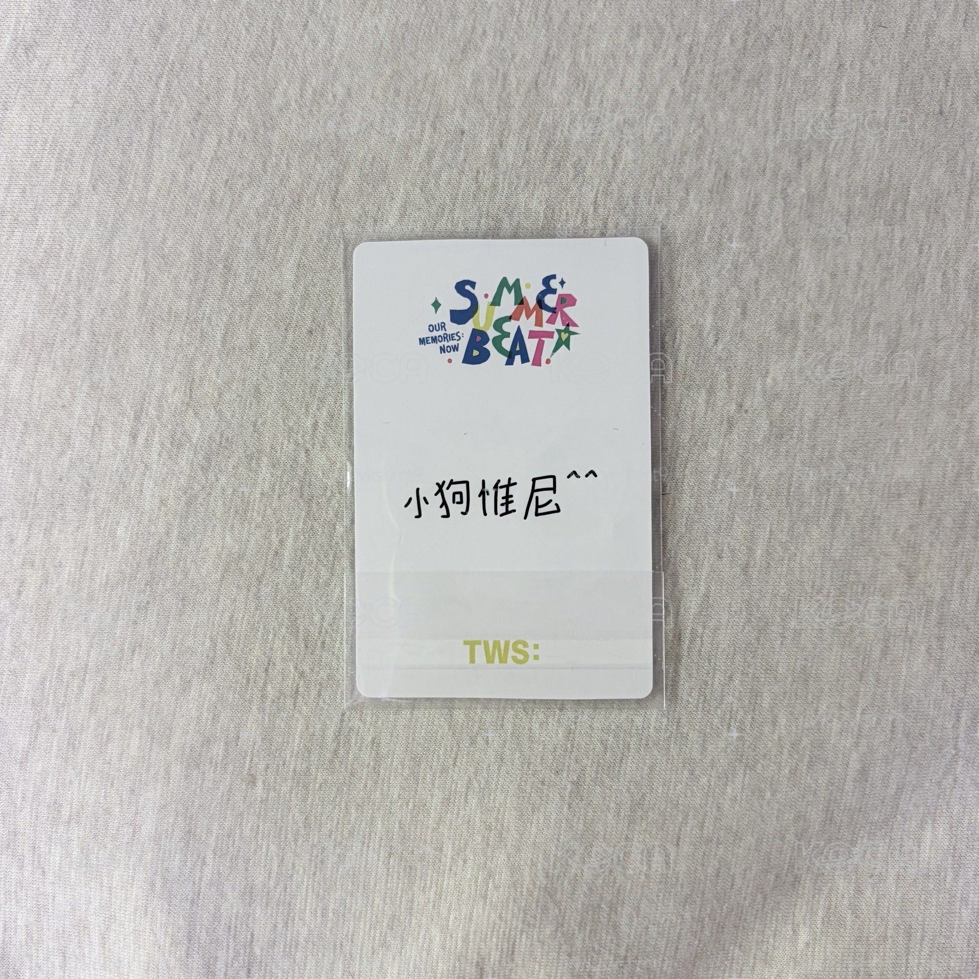 申惟 一直娛中文卡背小狗惟尼