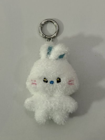 Haerin快閃bunini吊娃鑰匙圈