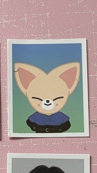 2nd世巡 skzoo證件照寅