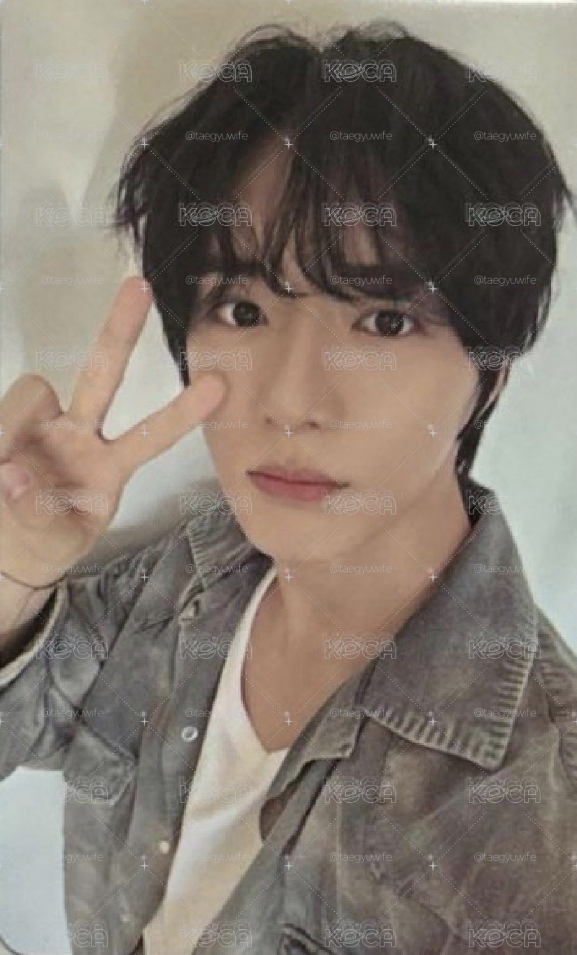 wm圭