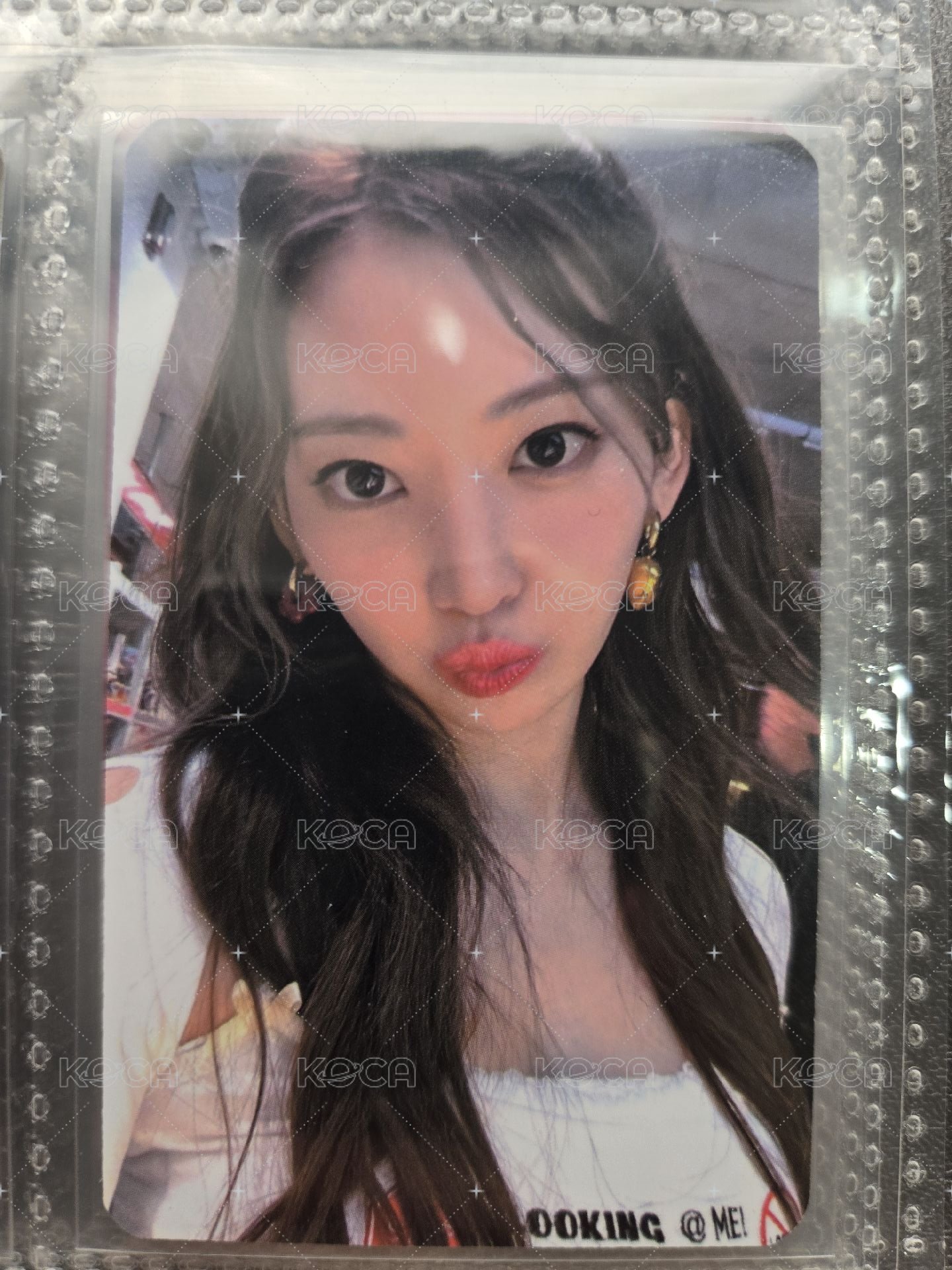 迷二特典櫻
